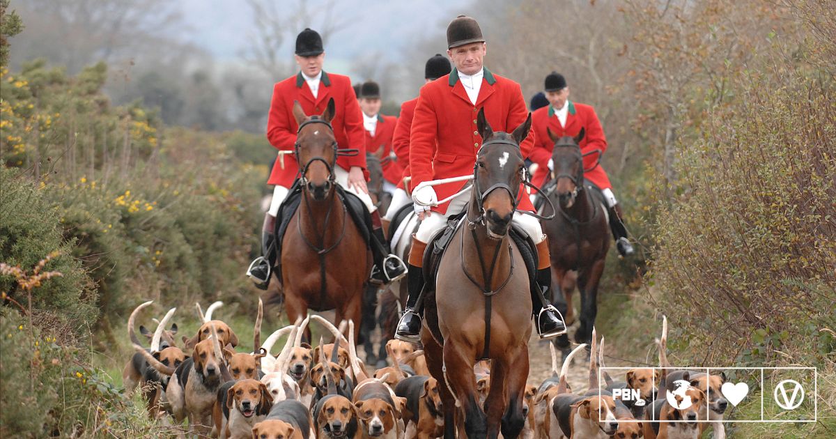 uk-labour-party-plans-a-full-ban-on-fox-hunting