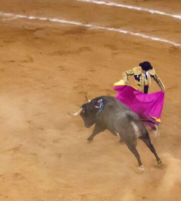 Bullfighting in Mexico City