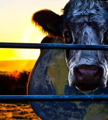 Poster for Cowspiracy, which has been named the most effective vegan documentary in a recent study
