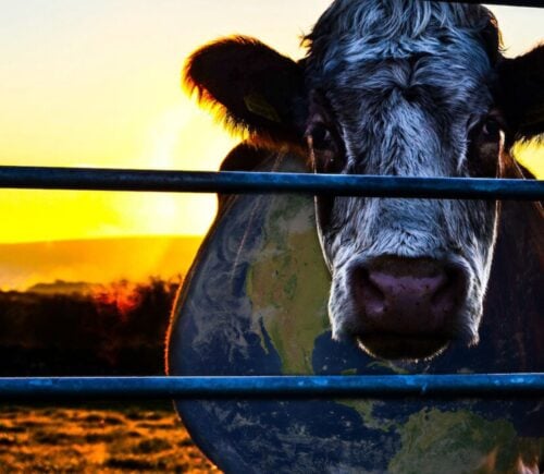 Poster for Cowspiracy, which has been named the most effective vegan documentary in a recent study