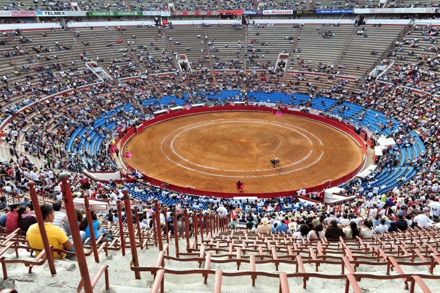 Plaza de Toros, the largest bullring in the world