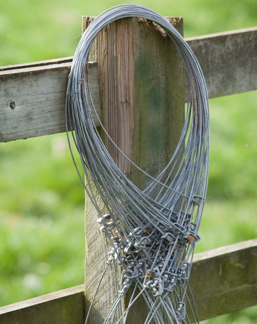 Snares waiting to be set on royal land