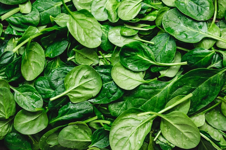 Spinach, a high-protein vegetable