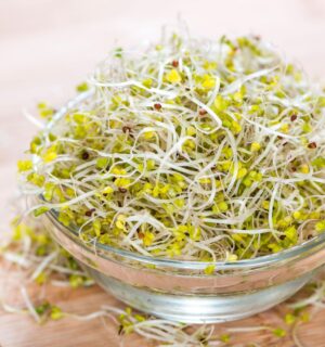 A bowl of broccoli sprouts