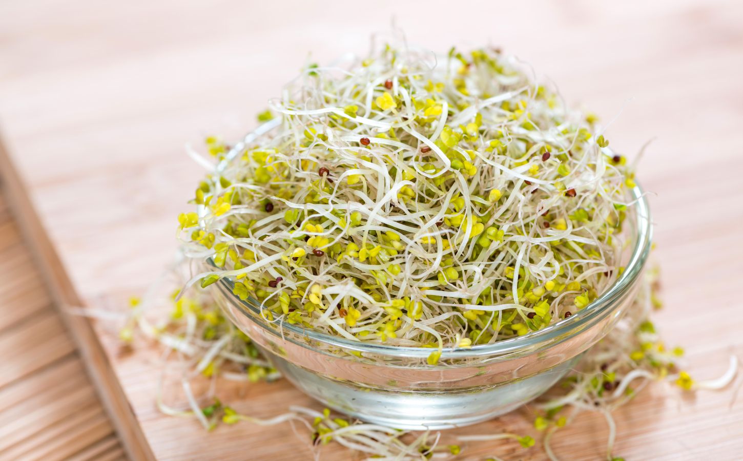 A bowl of broccoli sprouts