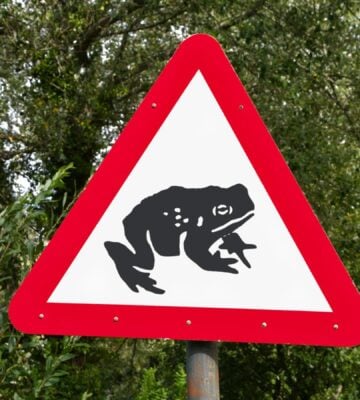 A road sign warning drivers that toads may be crossing