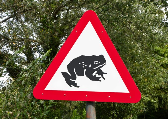 A road sign warning drivers that toads may be crossing