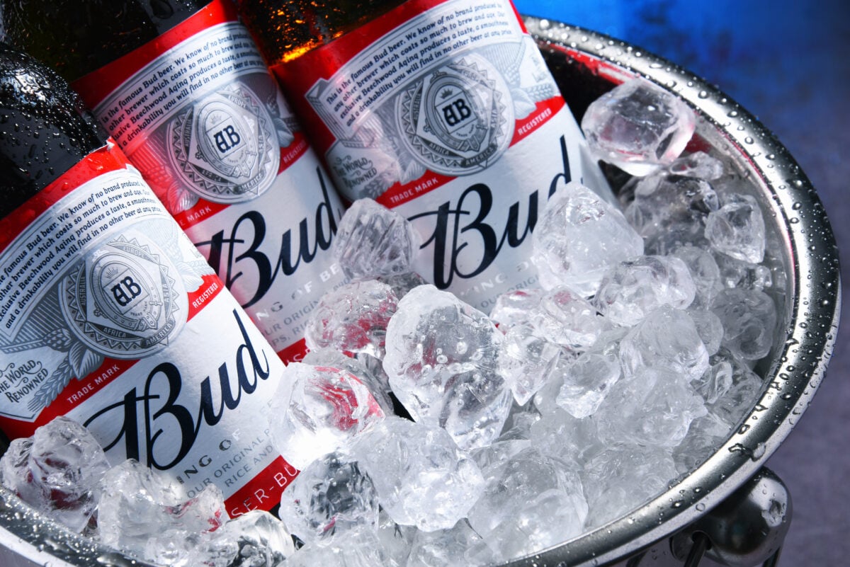 Photo shows a metal bucket filled with ice and bottles of Budweiser.