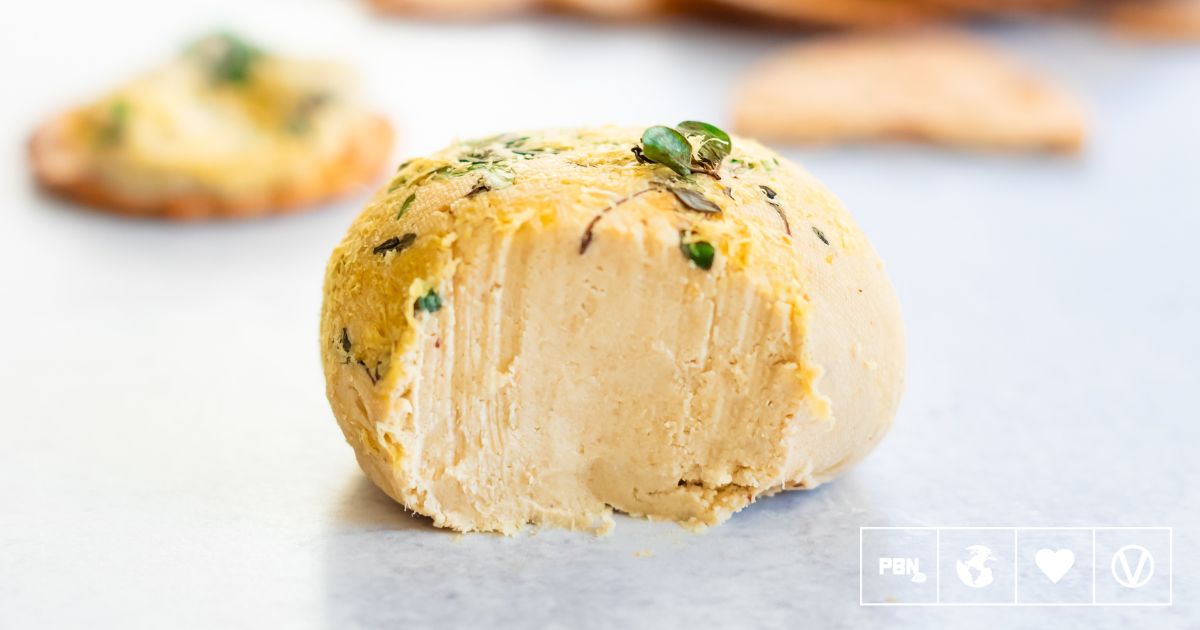 How To Make Vegan Cheese Using Sunflower Seeds