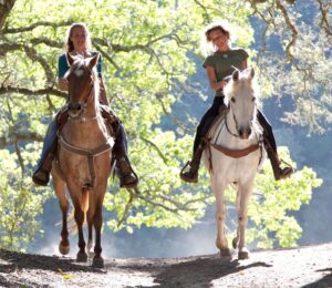 Photo shows two women riding horses on a woodland bridleway in the sunshine.