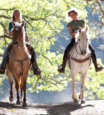Photo shows two women riding horses on a woodland bridleway in the sunshine.