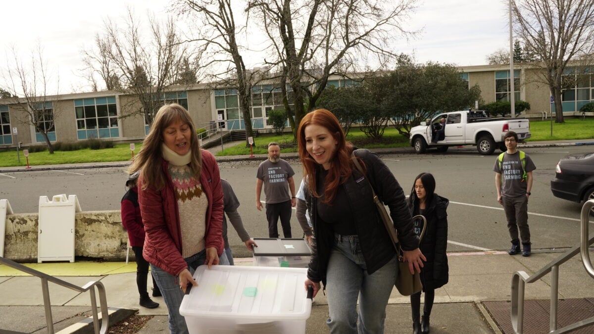 Photo shows two CEFF volunteers handing in a large box of signatures