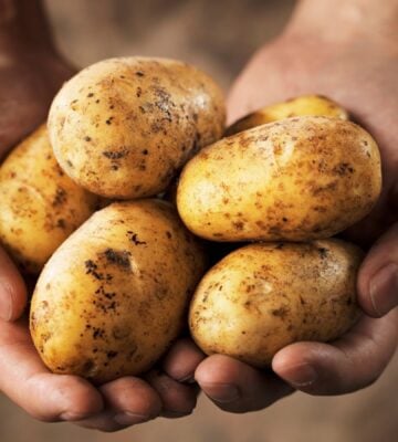 Photo shows someone holding five medium-sized potatoes in their two cupped hands