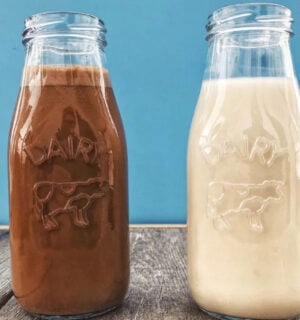 creamy homemade oat milk, vegan milk alternative, plant based milk plain and chocolate