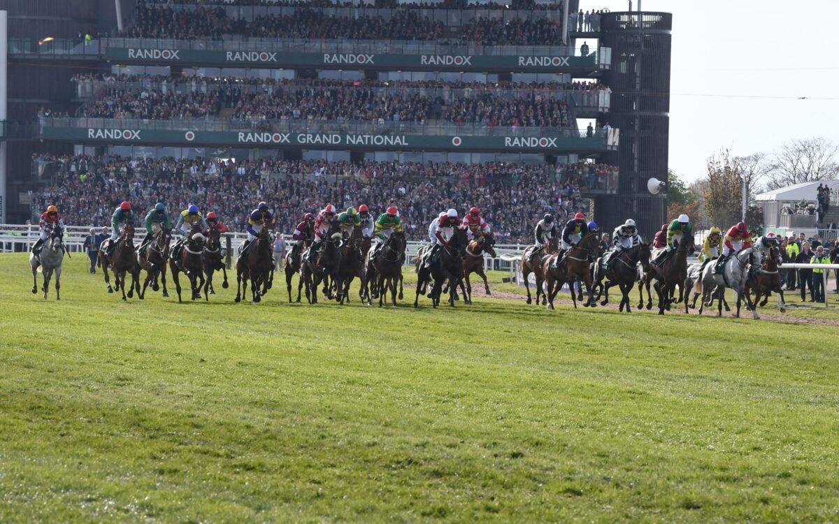 Horses running in the Grand National race
