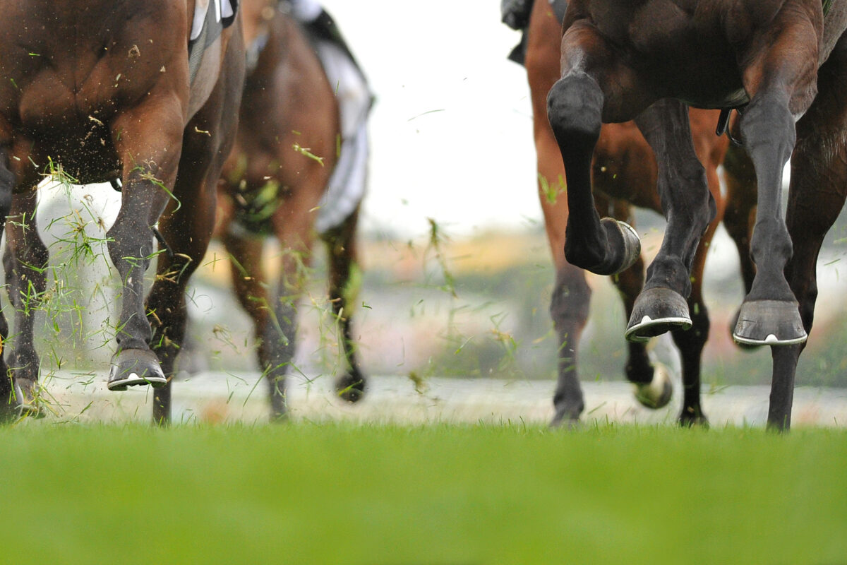 Horse hooves running on a race track