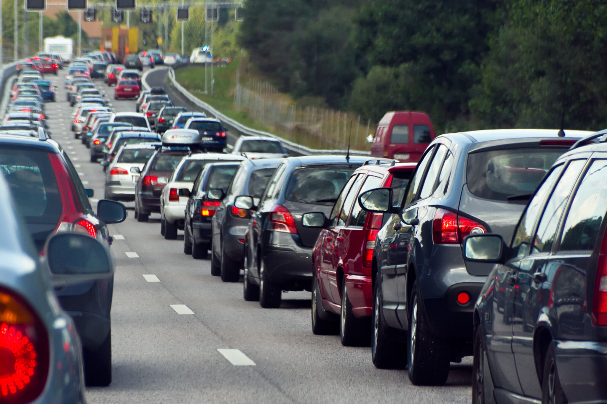 Traffic Noise Harms Baby Birds' Development, Research Finds