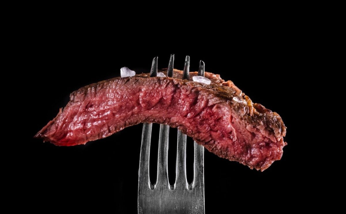 Piece of steak on a fork