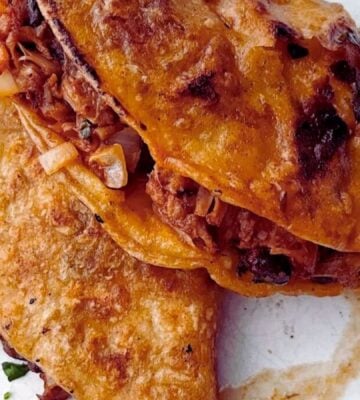 vegan jackfruit birria tacos made with slow-roasted jackfruit, black beans, tortillas, a vegan stew, and seitan