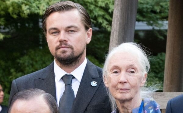 Leonardo DiCaprio and Jane Goodall with UN Dignitaries During the Peace Bell Ceremony on the Occasion of the 35th Anniversary of the International Day of Peace, 2016