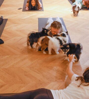 Puppy yoga