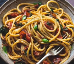 vegan bucatini pasta with sun-dried tomato, tomato, balsamic vinegar, garlic, onion, and baby spinach