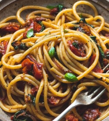 vegan bucatini pasta with sun-dried tomato, tomato, balsamic vinegar, garlic, onion, and baby spinach