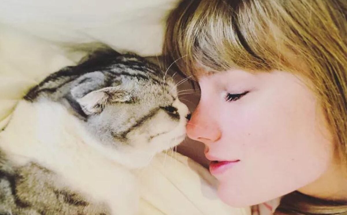 Taylor Swift lying down with her Scottish Fold cat