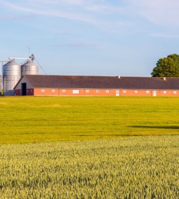 A large field with a farm in it in Denmark