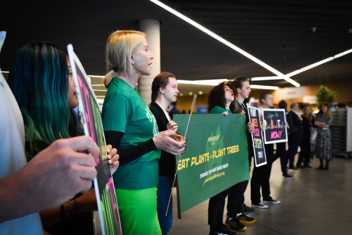 Photo shows Heather Mills and other activists protesting at the Bonn Climate Conference