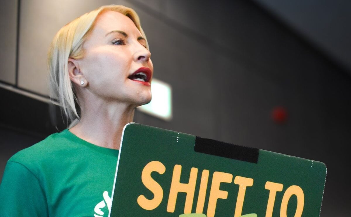 Photo shows Heather Mills protesting at the Bonn Climate Conference