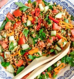 Photo shows a large bowl of colorful, high-protein lentil salad