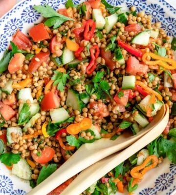 Photo shows a large bowl of colorful, high-protein lentil salad