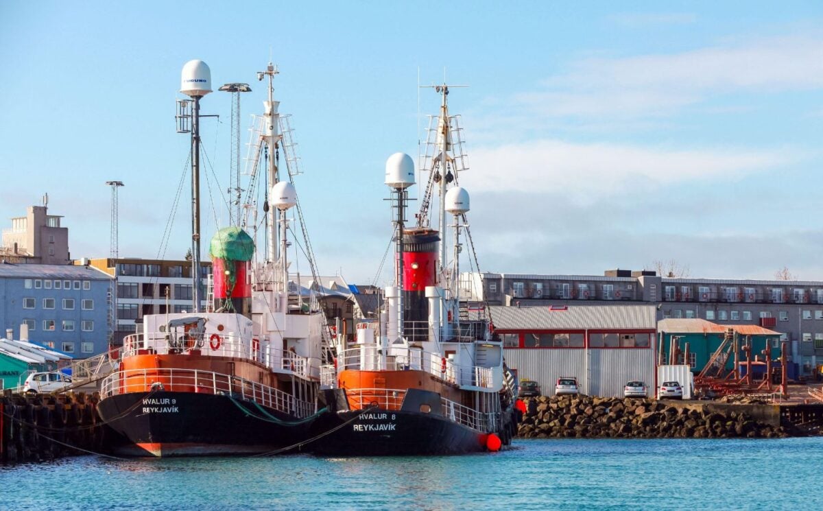 Photo shows two whaling ships moored at a dock in Reykjavik, Iceland