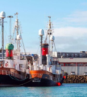 Photo shows two whaling ships moored at a dock in Reykjavik, Iceland