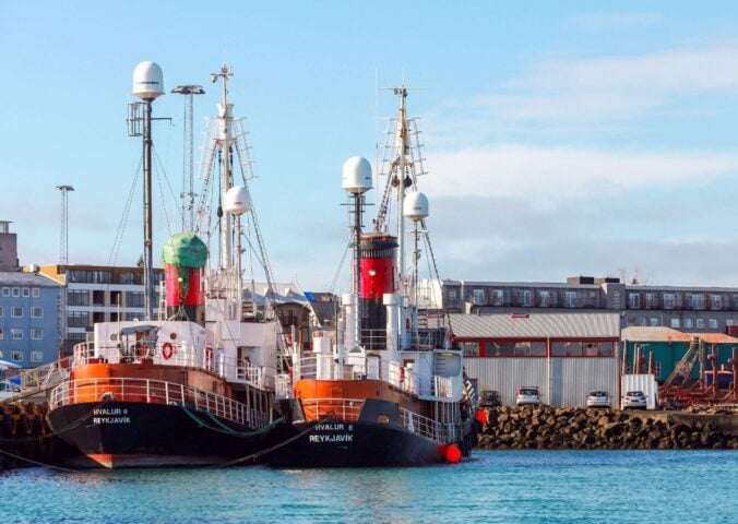 Photo shows two whaling ships moored at a dock in Reykjavik, Iceland