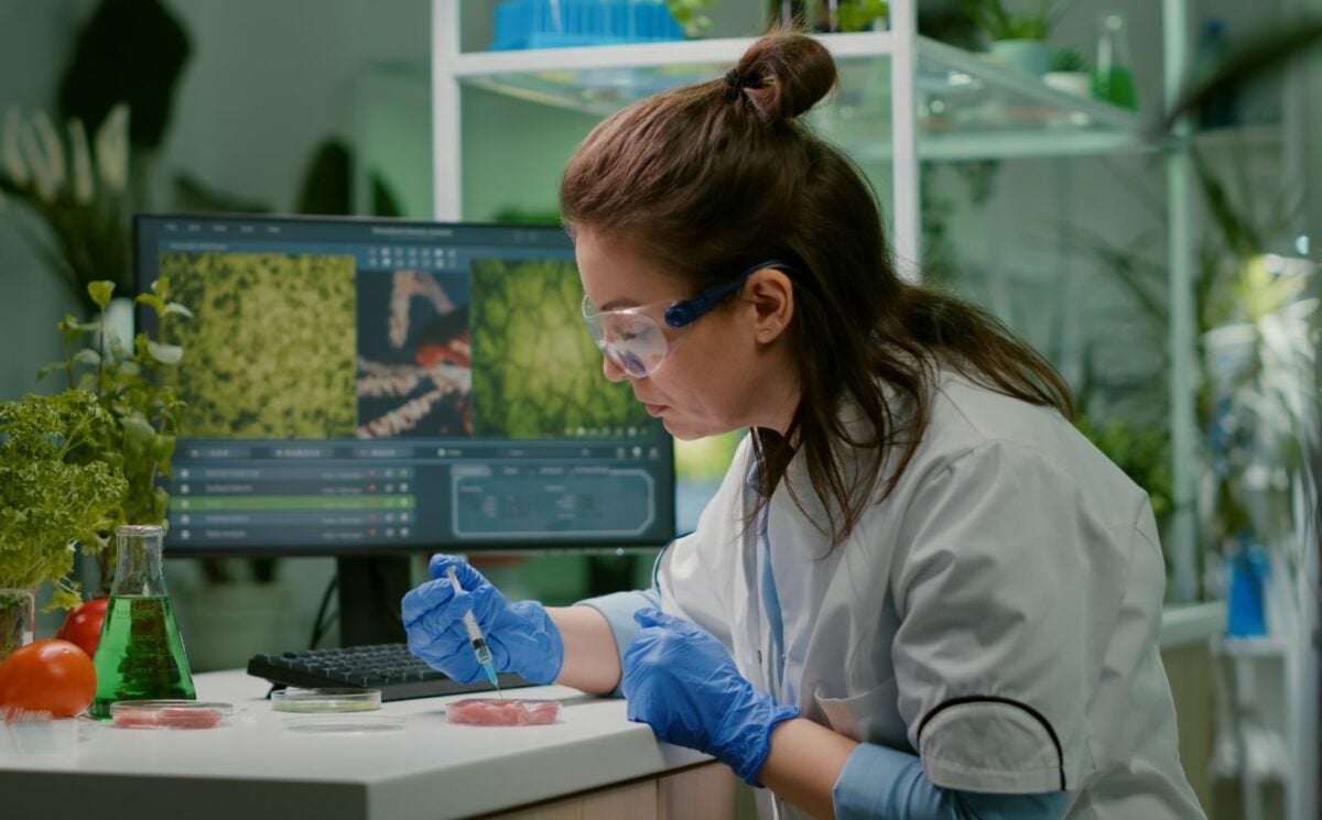 Photo shows a scientist working on some sort of plant-based or alternative protein in a lab setting