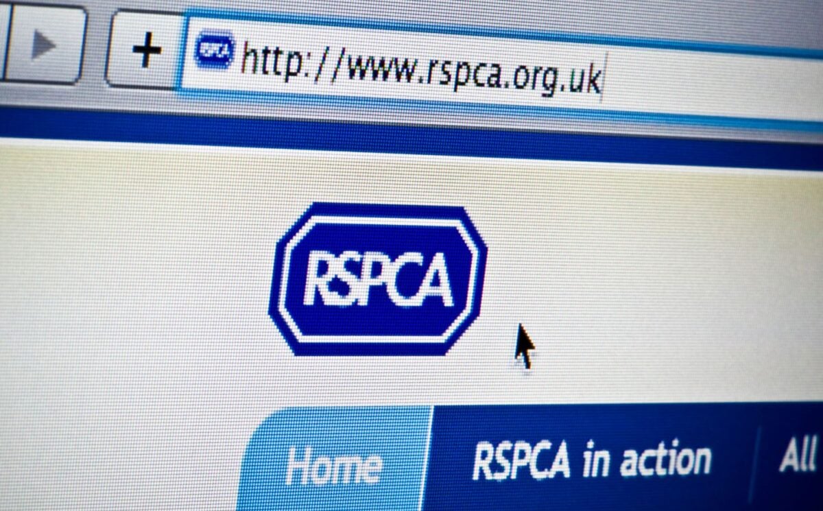 A photograph of the RSPCA website on a computer, showing the URL at the top