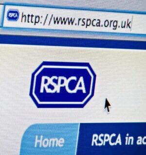 A photograph of the RSPCA website on a computer, showing the URL at the top