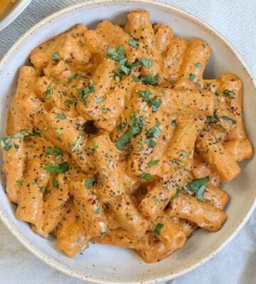 vegan vodka pasta made with penne, chili, sun-dried tomatoes, cashews, nutritional yeast, and basil