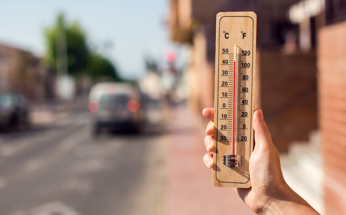 Photo shows someone's hand as they hold up a wooden thermometer on a hot city street - the mercury shows over 40C