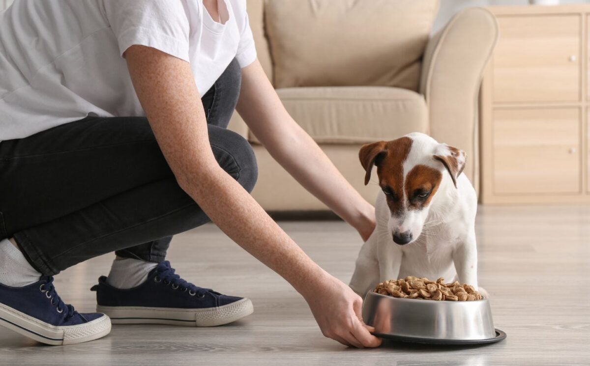 Photo shows a woman bending down to feed her dog a bowl of pet food