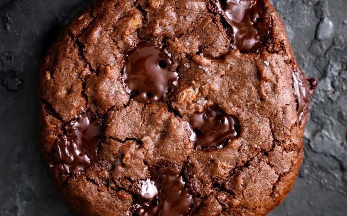 a picture of a vegan double chocolate coconut oatmeal cookie