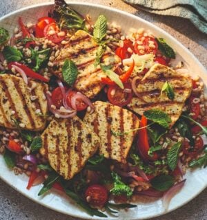 a picture of a vegan barley salad made with tofu 'halloumi' and peppers, tomato, and seasonings