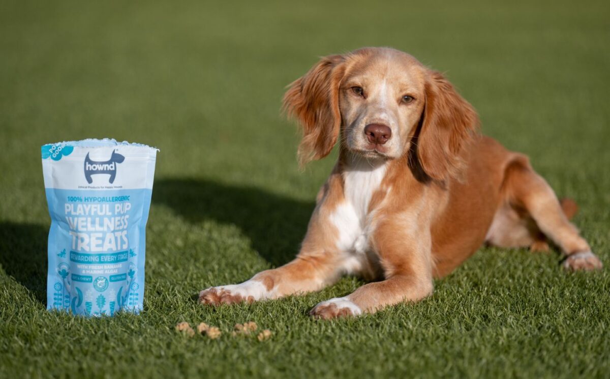 A dog lying in grass next to a pack of plant-based dog food from HOWND