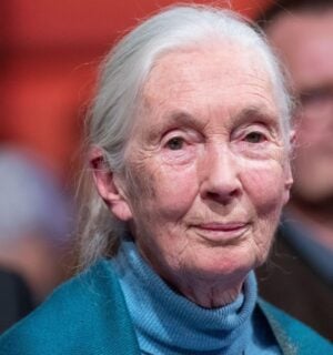 Environmental campaigner Jane Goodall