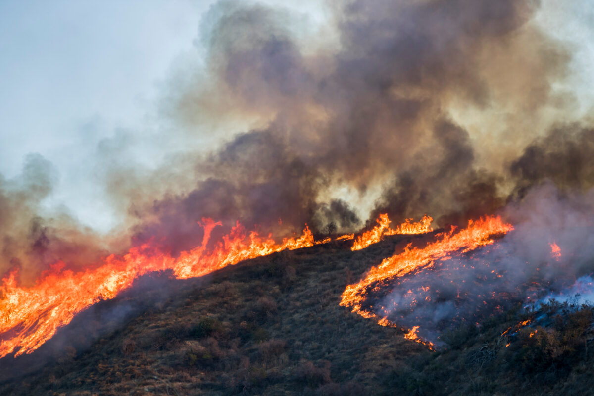 Photo shows an in-progress wildfire