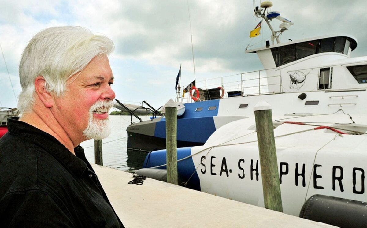 Paul Watson and Sea Shepherd ship