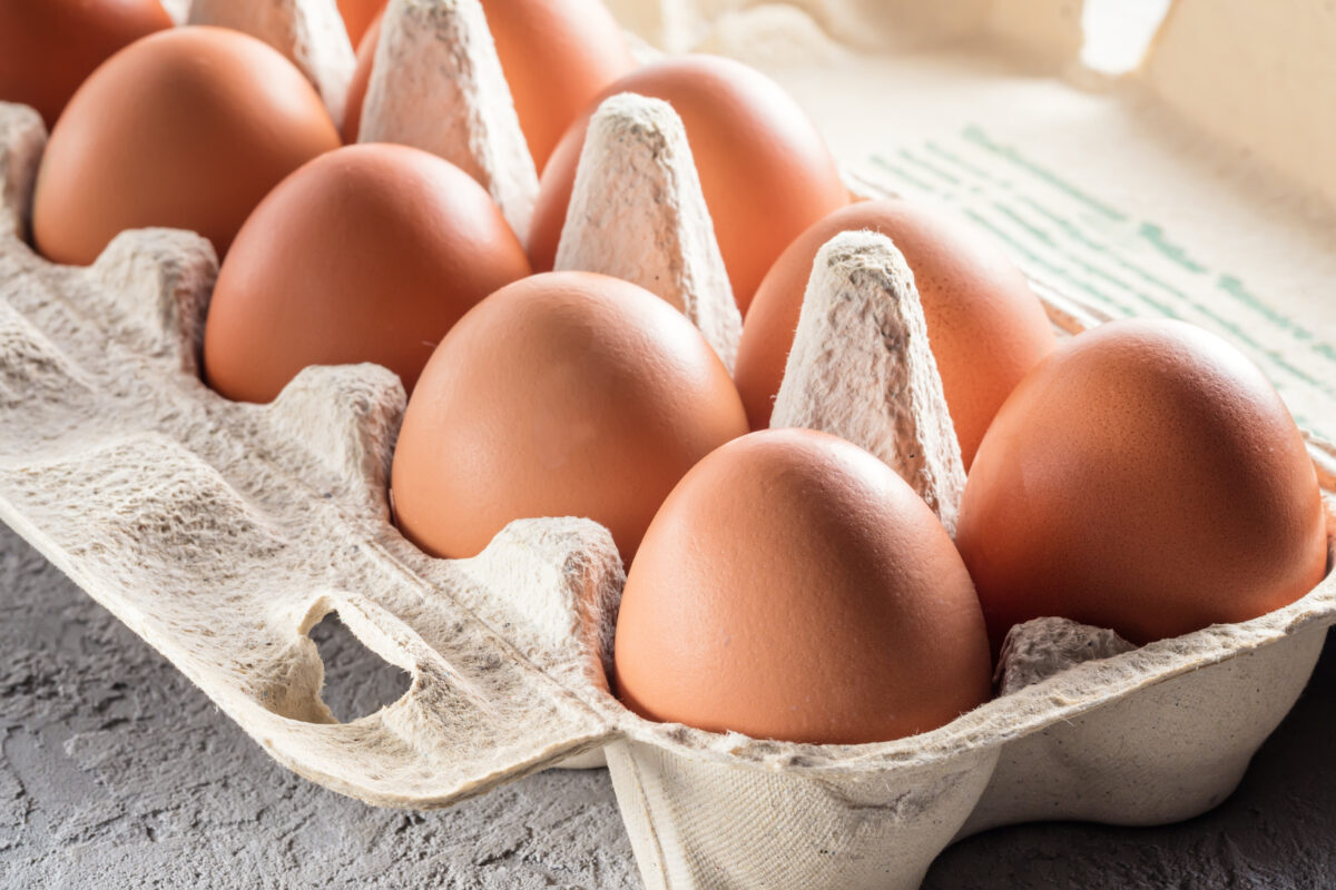 a carton of chicken's eggs