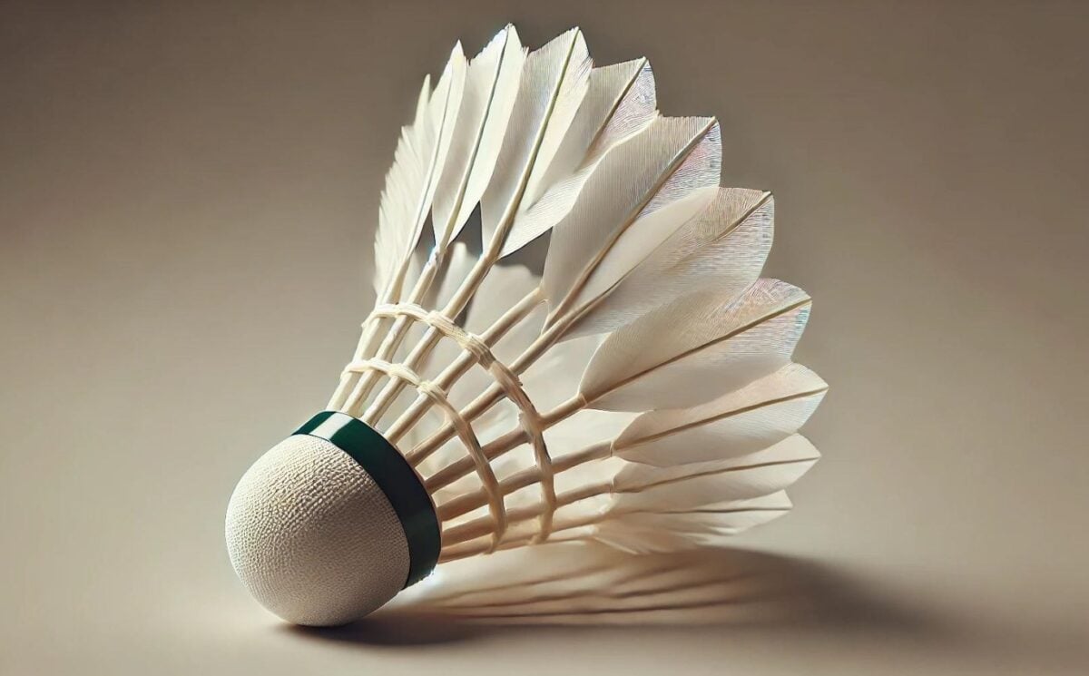 An AI-generated image of a feather shuttlecock